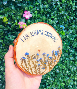 "I am always growing" resin wood slice wall hanging